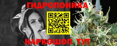 крисы Будённовск