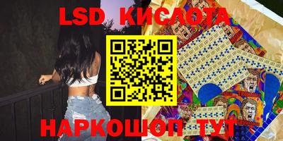 крисы Будённовск