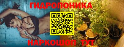 крисы Бузулук