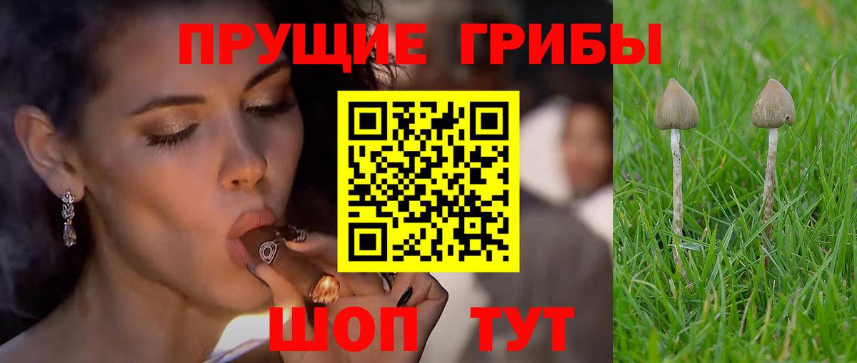 Галлюциногенные грибы GOLDEN TEACHER  Вход с VPN  Сатка 